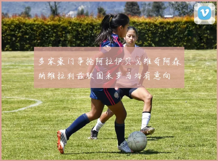 多家豪门争抢阿拉伊贝戈维奇阿森纳维拉利兹联国米罗马均有意向